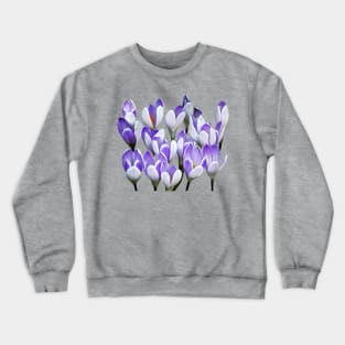 Crocuses - Cluster of Crocuses Crewneck Sweatshirt